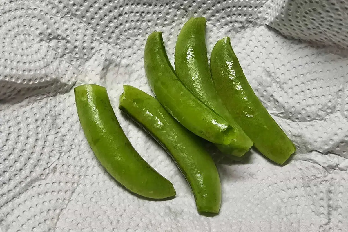 sirabee20250516snap2