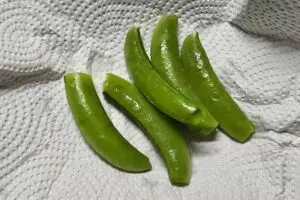 sirabee20250516snap2