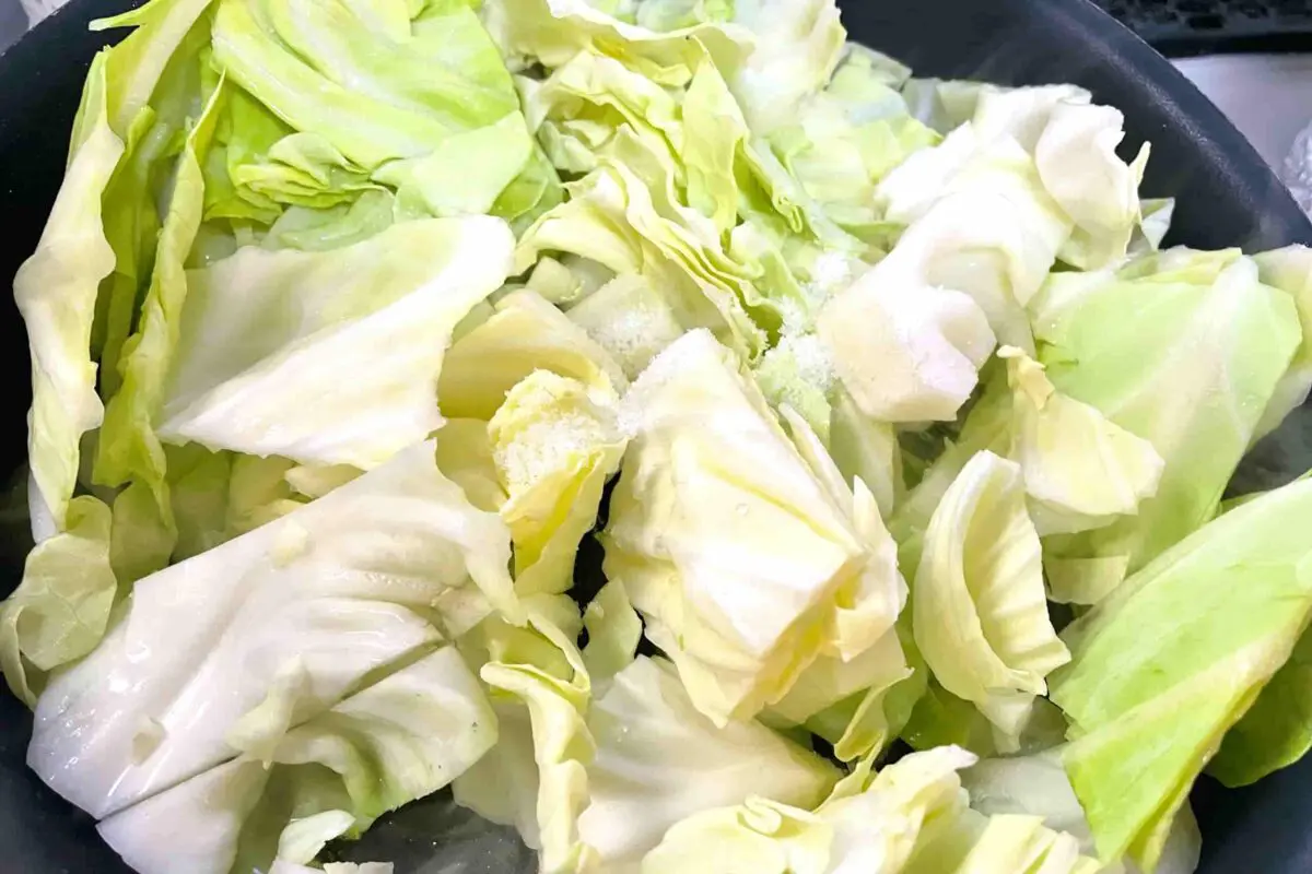 sirabee20250601cabbage5