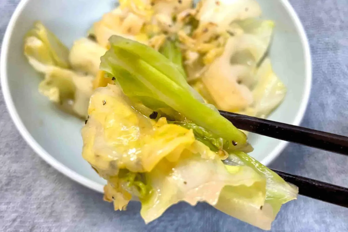 sirabee20250601cabbage8