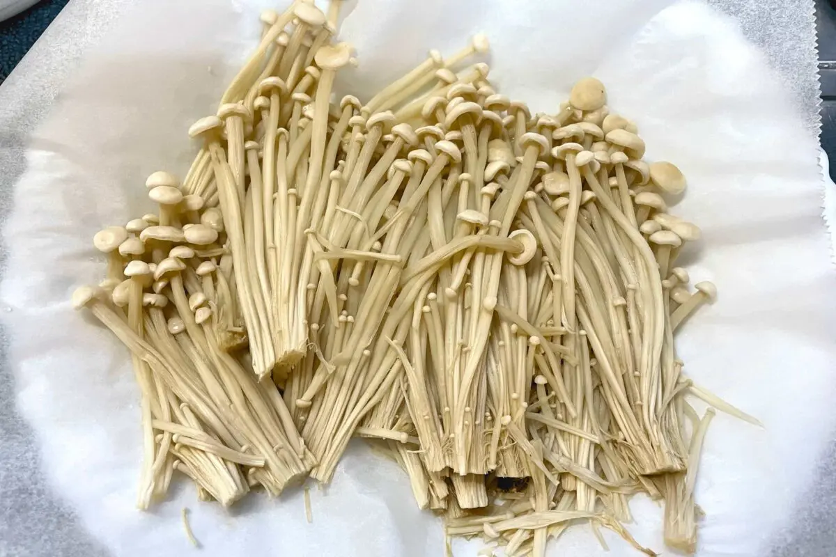 sirabee20250603enoki3