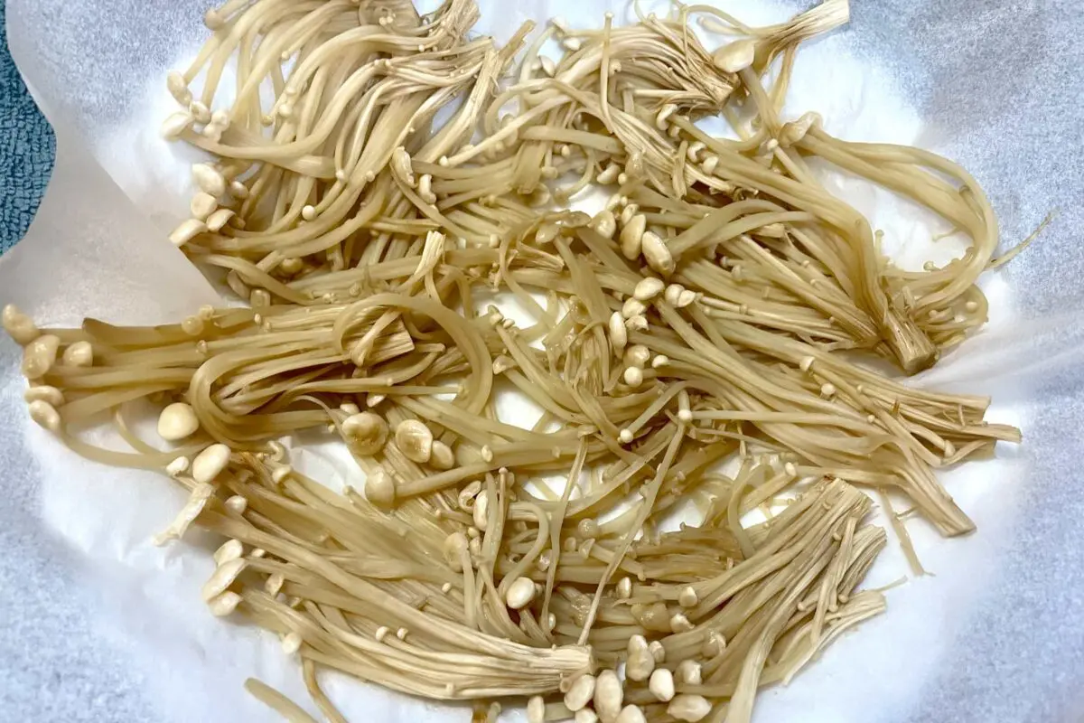 sirabee20250603enoki4