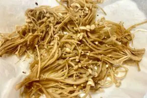 sirabee20250603enoki5