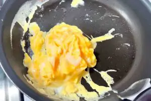 sirabee20250604komatsuna6