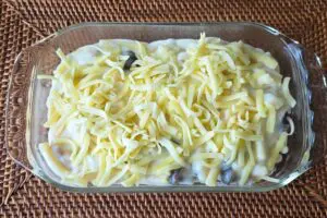 sirabee20250606gratin4