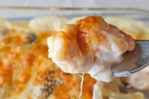 sirabee20250606gratin8