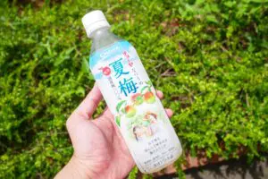 無添加でゴクゴク飲める“このドリンク”がもう手放せない 「毎年夏はこれ」