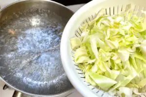 sirabee20250607cabbage2