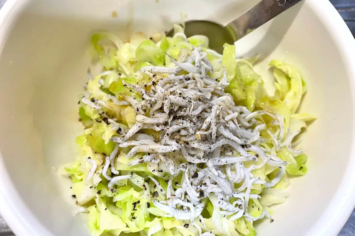 sirabee20250607cabbage3