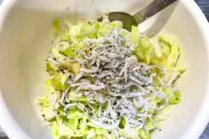 sirabee20250607cabbage3