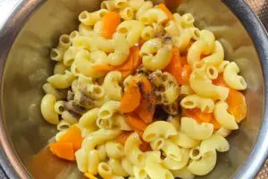 sirabee20250610macaroni4 (1)