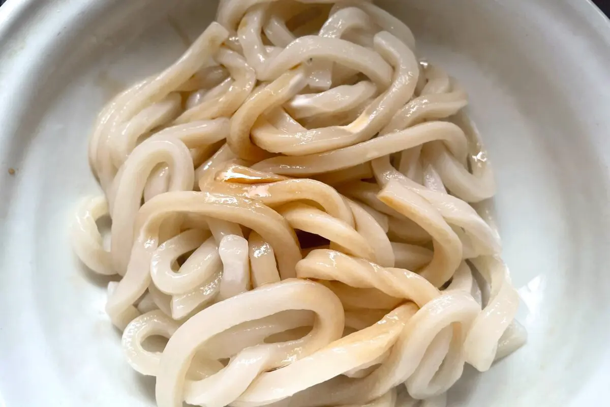 sirabee20250610udon2