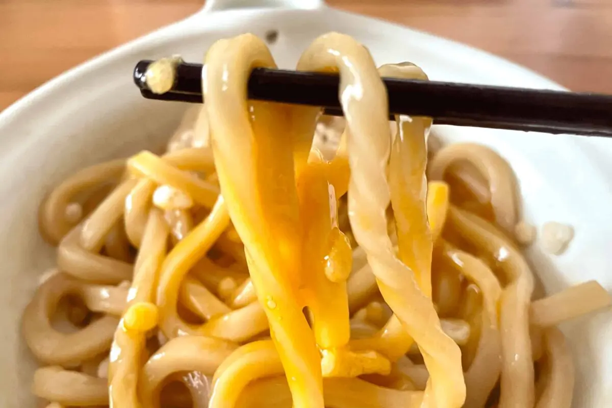 sirabee20250610udon4