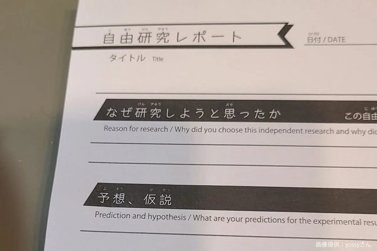 sirabee20250611daiso2