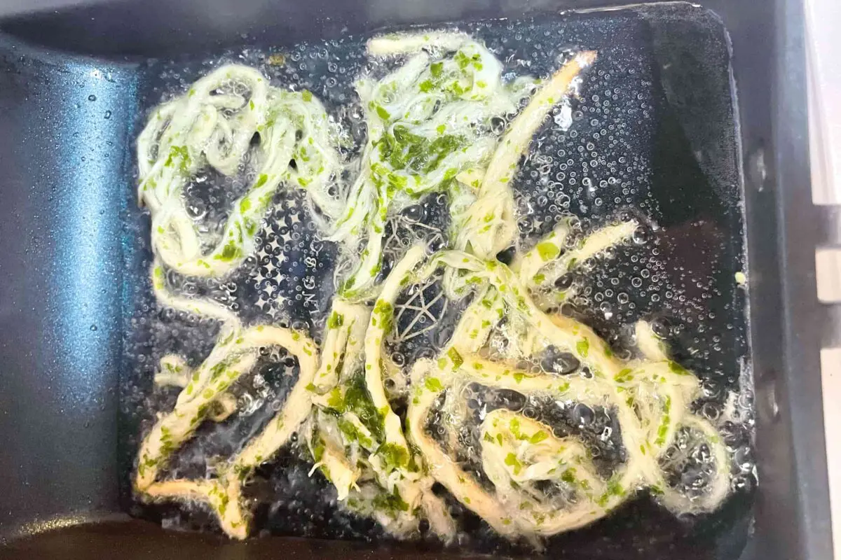 sirabee20250615squid5