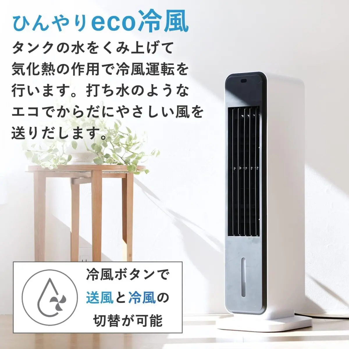 sirabee20250616reifusen3