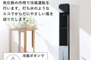 sirabee20250616reifusen3