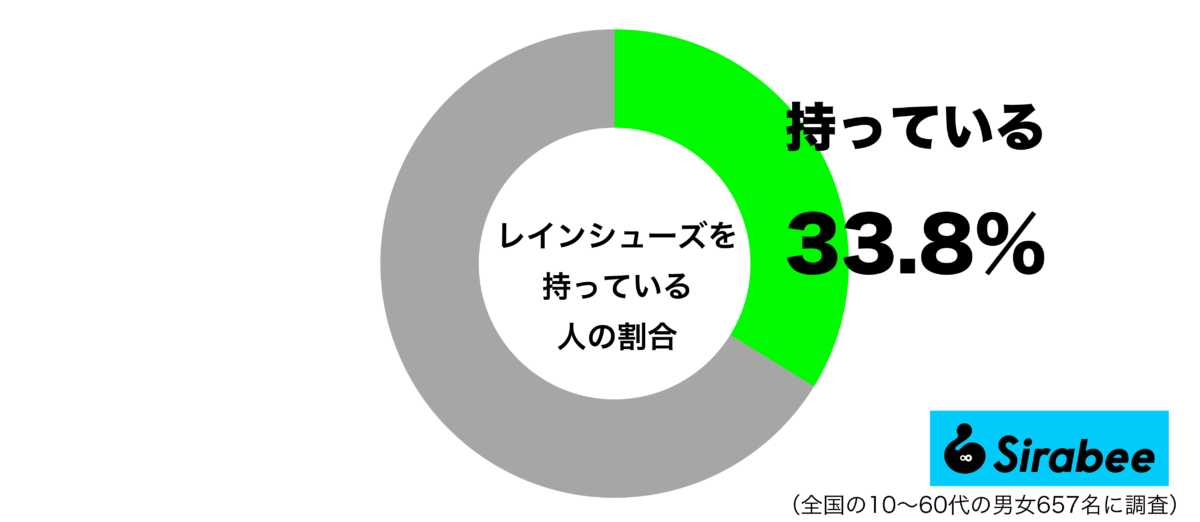 レインシューズを持っているグラフ