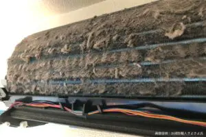「自動お掃除機能」付きエアコンの現実、中身を見てゾッとした…　掃除のプロ「小まめに処理しないと危険」