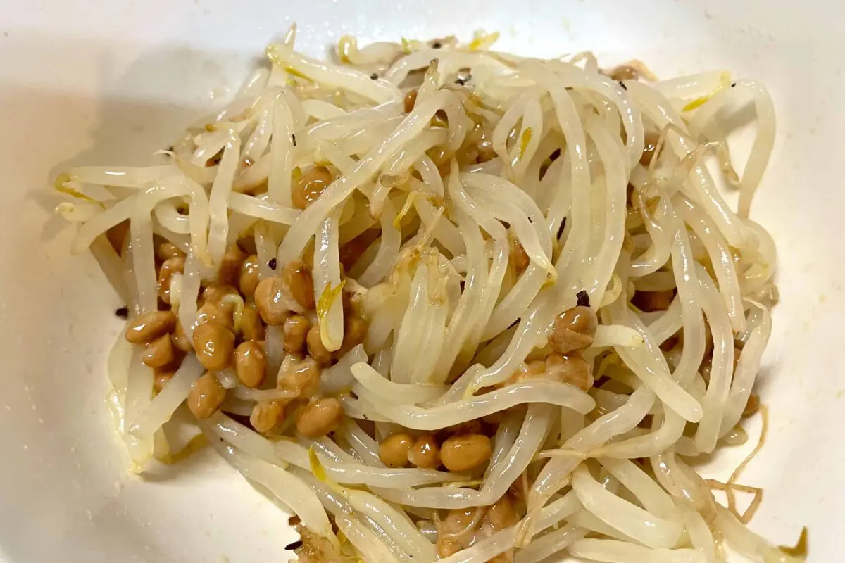 sirabee20250618beansprouts4