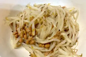 sirabee20250618beansprouts4