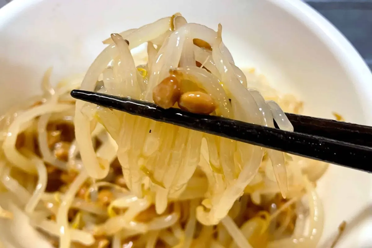 sirabee20250618beansprouts5
