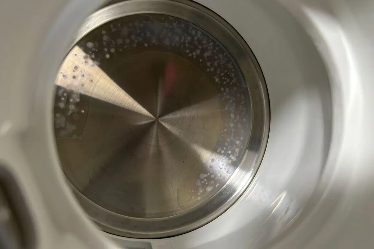 sirabee20250618tiger