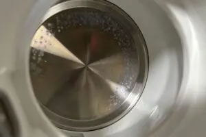 sirabee20250618tiger