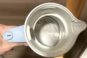 sirabee20250618tiger5