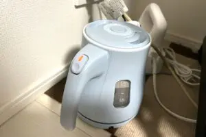 sirabee20250618tiger6