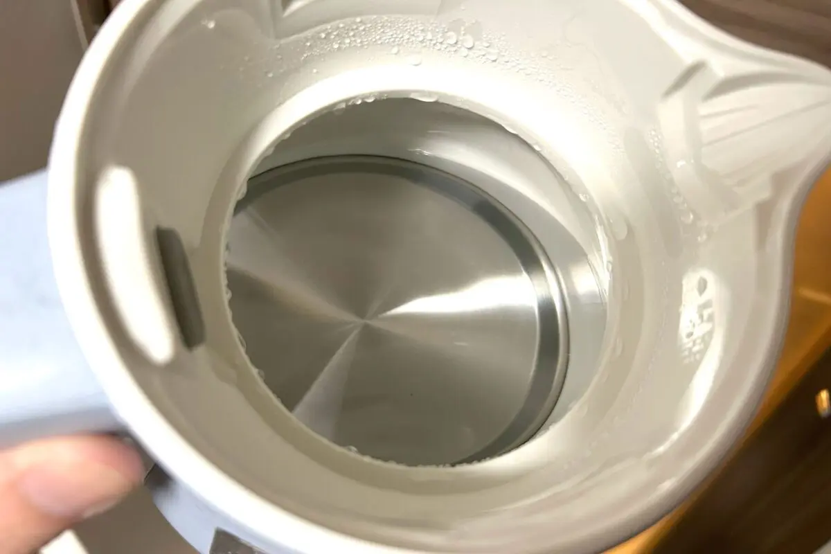 sirabee20250618tiger7