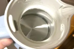 sirabee20250618tiger7