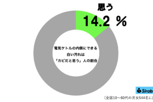 sirabee20250618tiger8