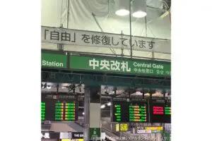 sirabee20250619genichiroinokuma2