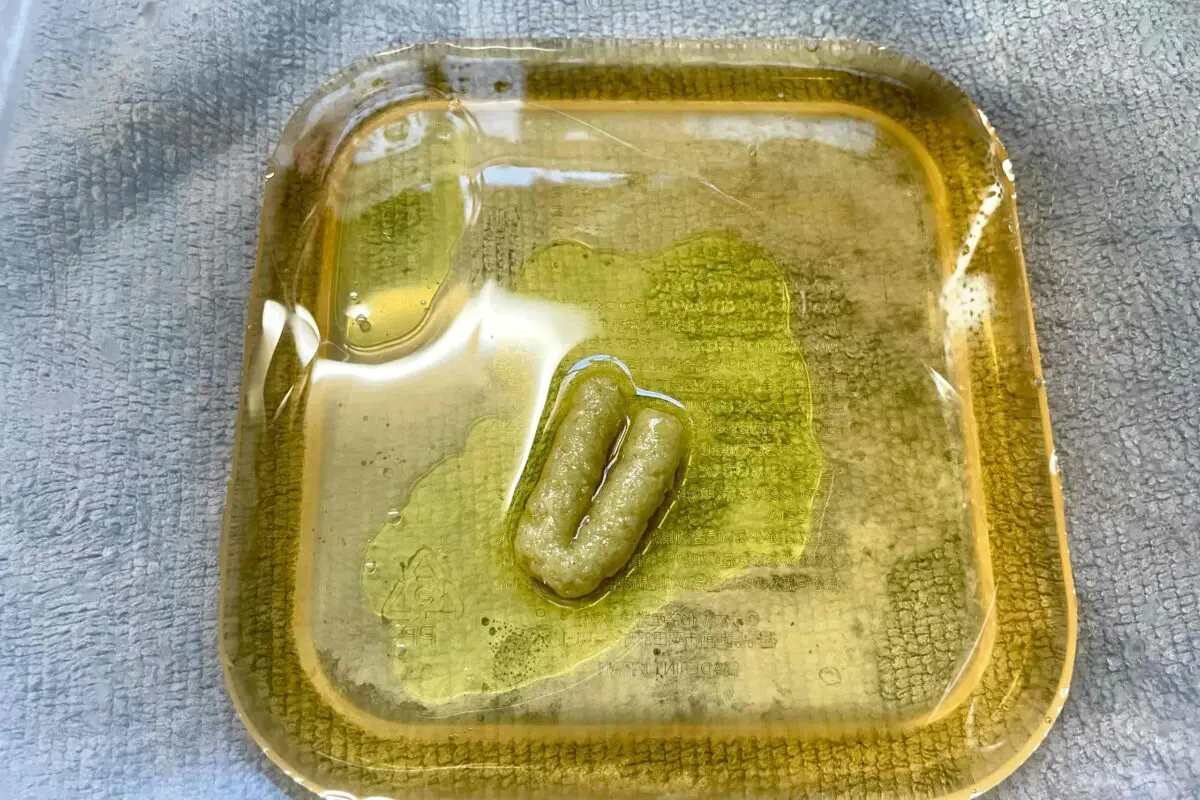 sirabee20250619greenpepper3