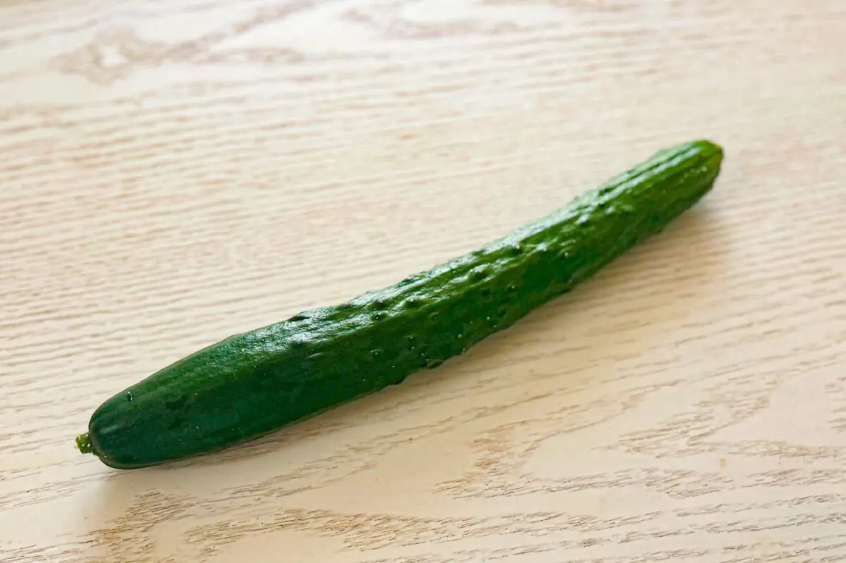 sirabee20250619kyuuri1