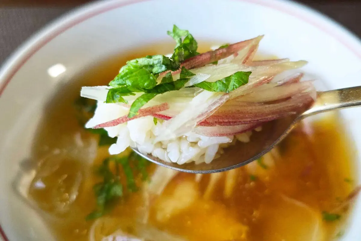 sirabee20250620hiyashi6