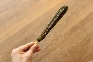 sirabee20250620kyuuri13