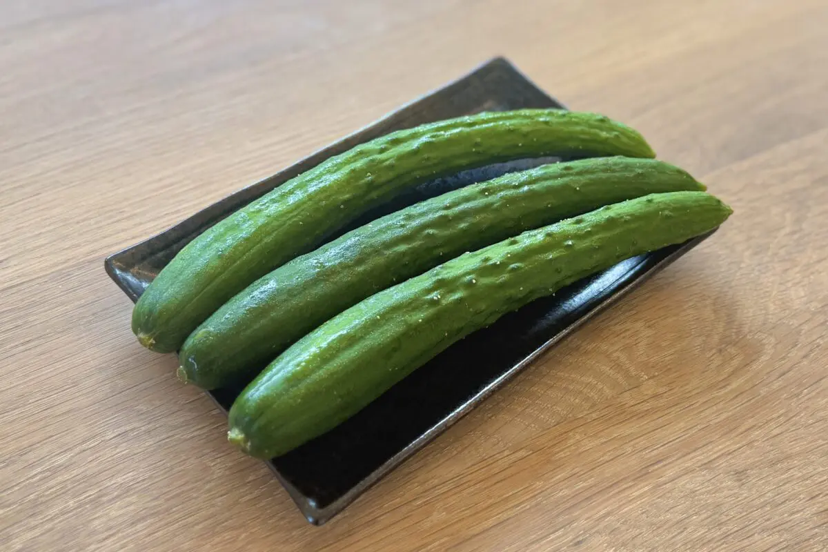 sirabee20250620kyuuri3