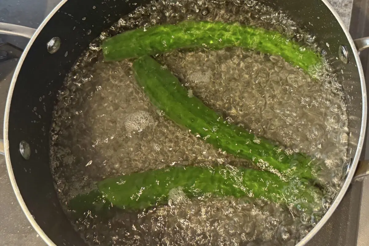 sirabee20250620kyuuri5