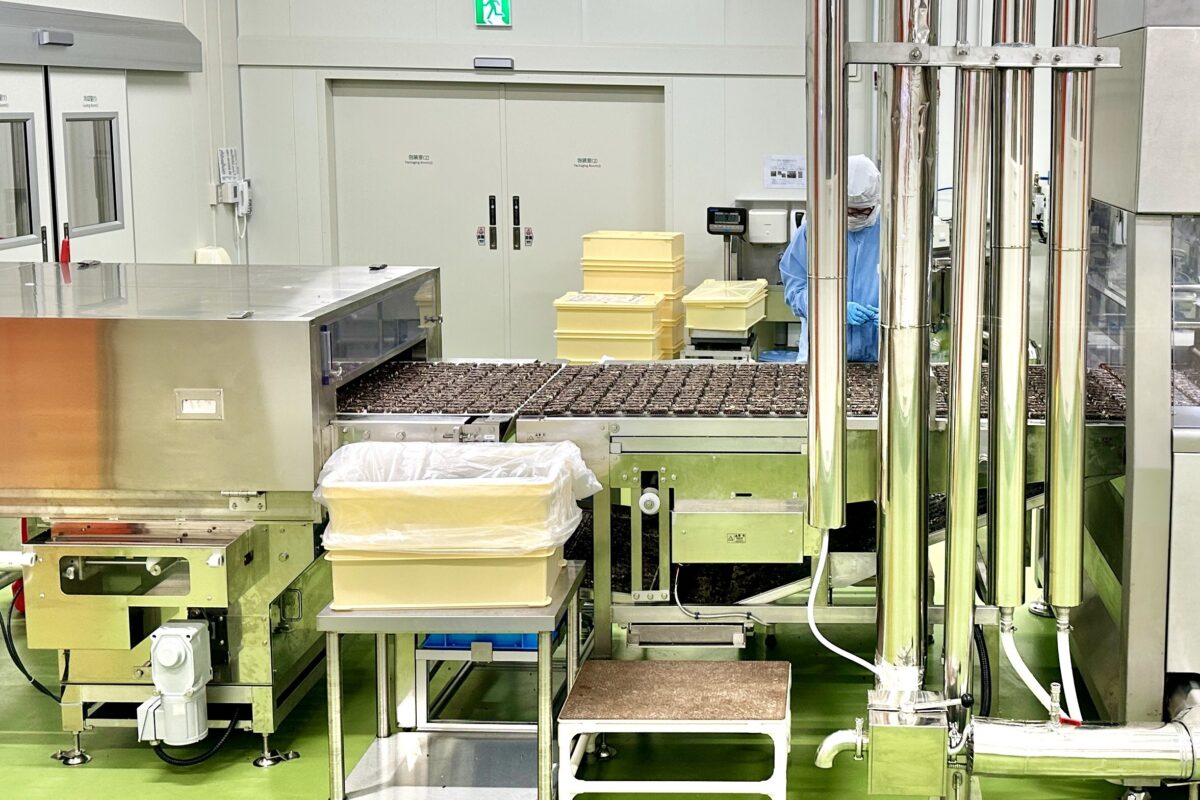 ブラックサンダー　ワクザクファクトリー