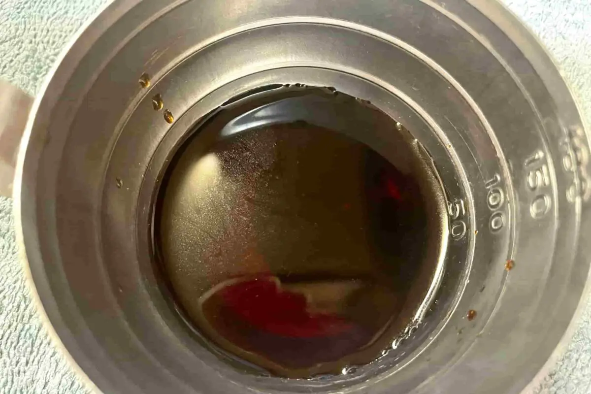 sirabee20250622greenpepper4