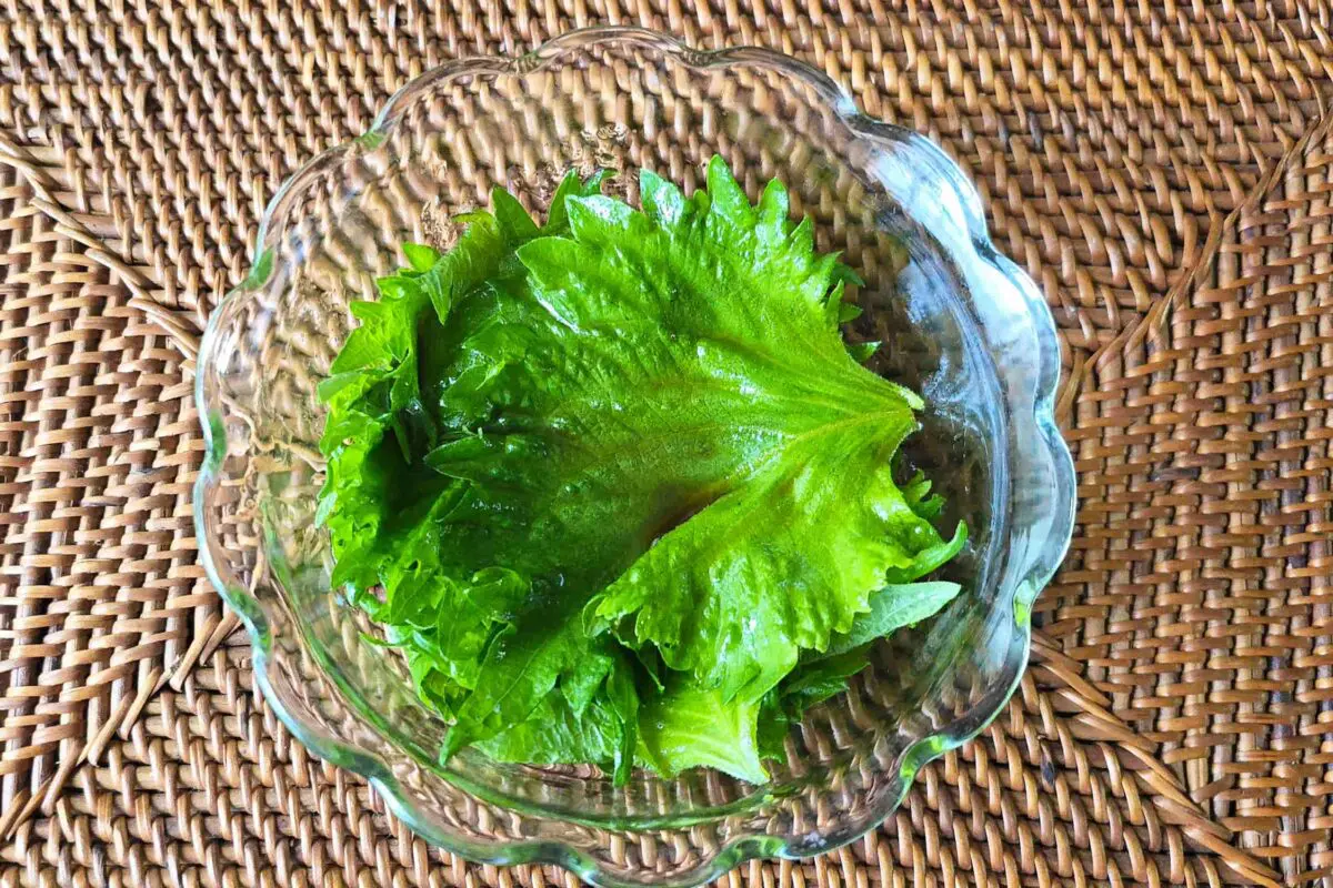 sirabee20250623onigiri3