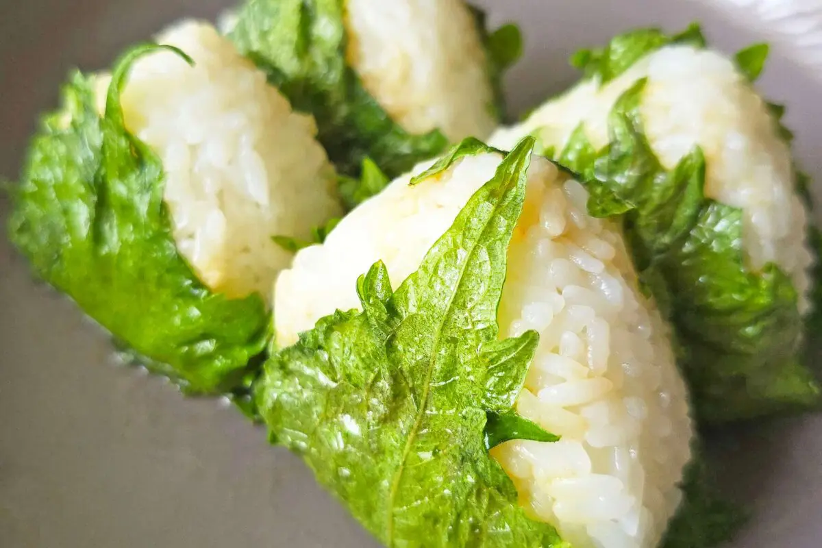 sirabee20250623onigiri5