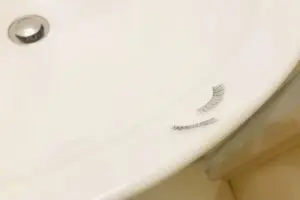 sirabee20250624taukema1