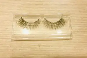 sirabee20250624taukema4