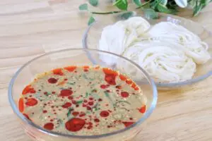 中川翔子イチオシの「ごま豆乳ラー油そうめん」　包丁いらずで作れて激ウマ…