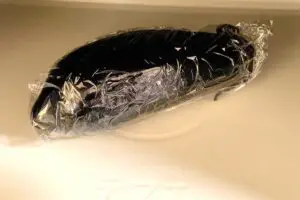 sirabee20250627mabonasu7