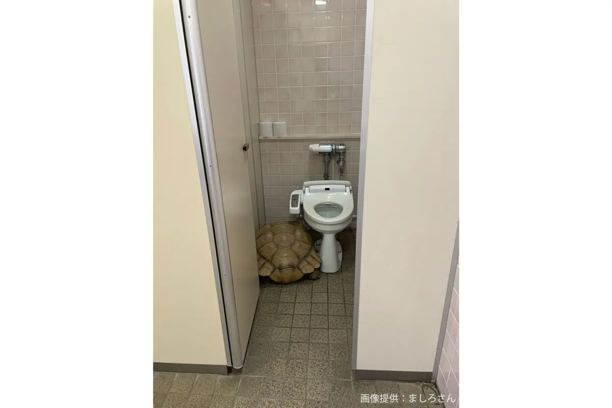 sirabee20250627seaparadise2