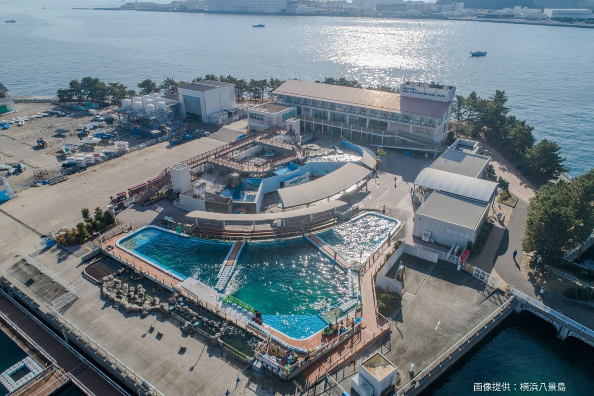 ふれあいラグーン